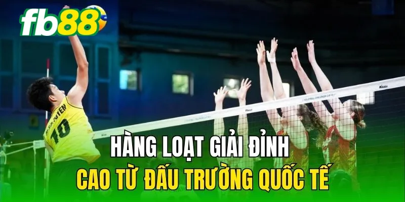 Hàng loạt giải đỉnh cao từ đấu trường quốc tế