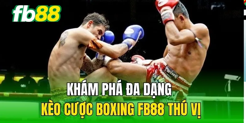 Khám phá đa dạng kèo cược Boxing Fb88 thú vị