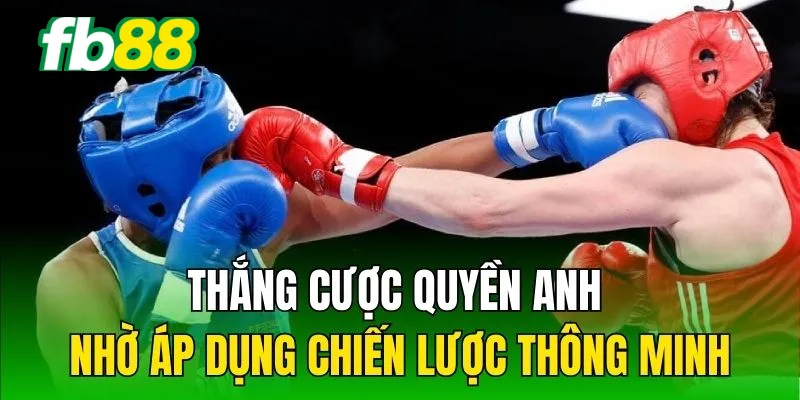 Thắng cược quyền anh nhờ áp dụng chiến lược thông minh